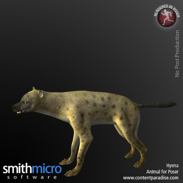 Hyena by N/A