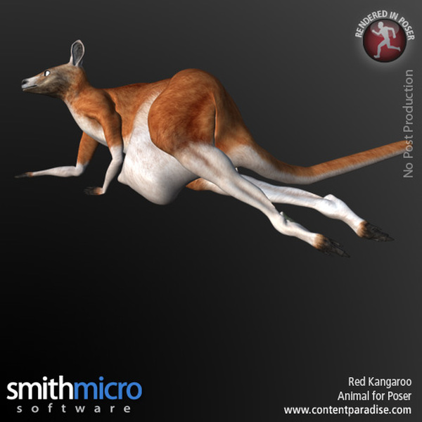 Kangaroo by N/A