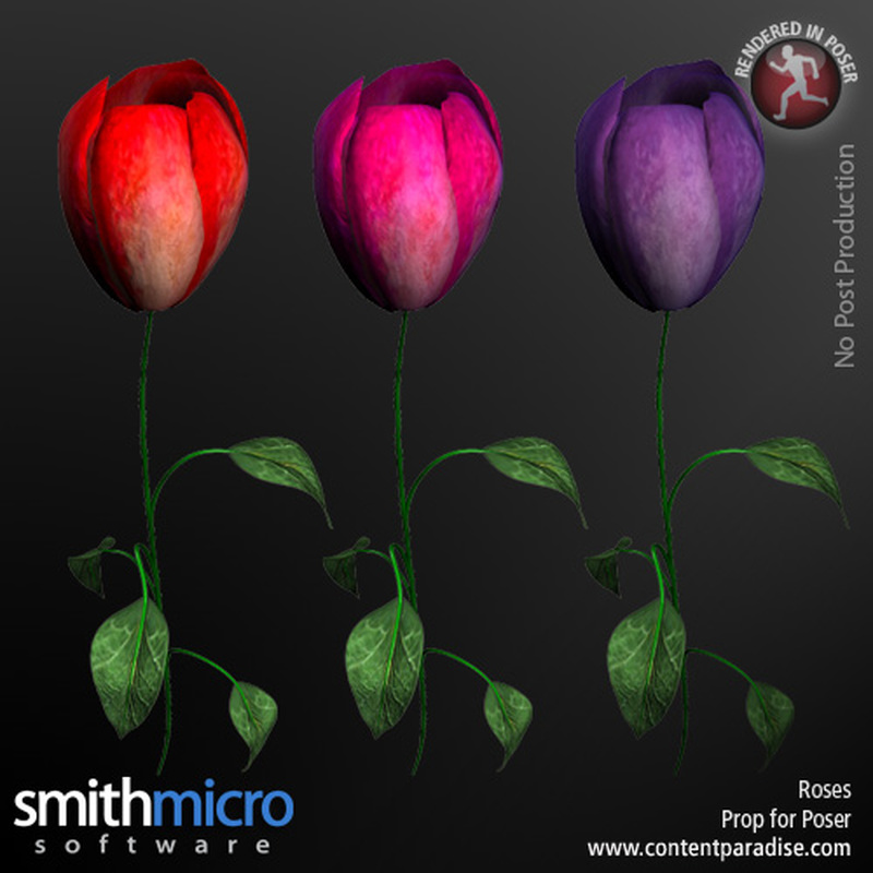 Long Stemmed Rose by N/A