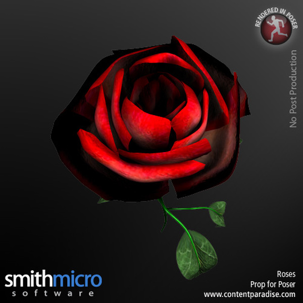 Long Stemmed Rose by N/A