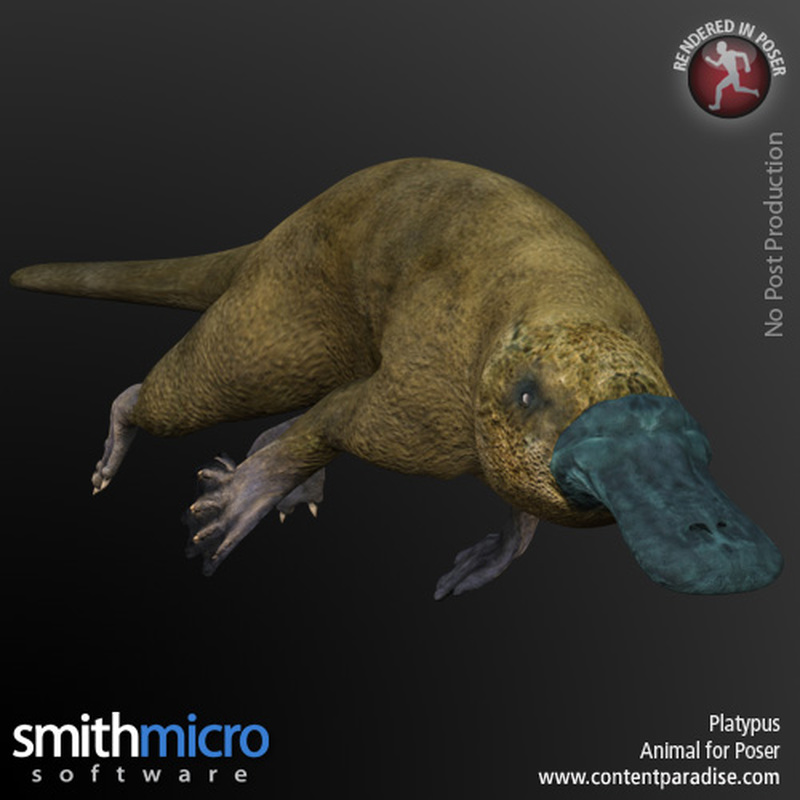Platypus by N/A