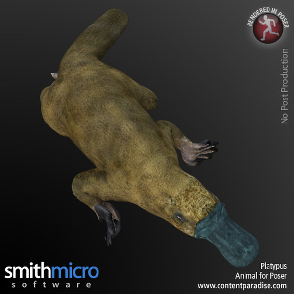 Platypus by N/A