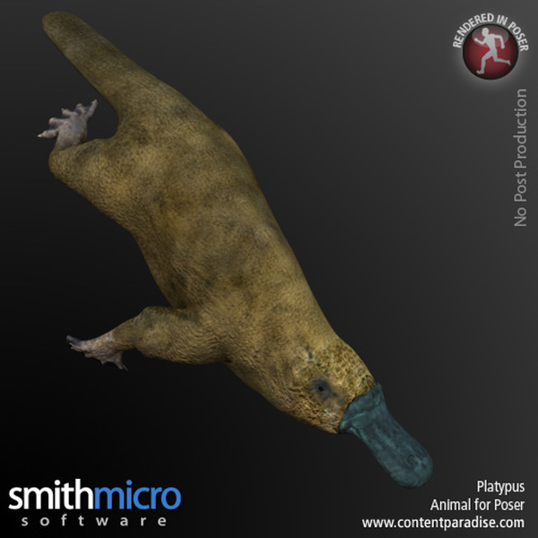 Platypus by N/A
