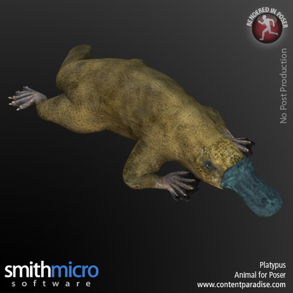 Platypus by N/A