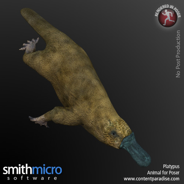 Platypus by N/A