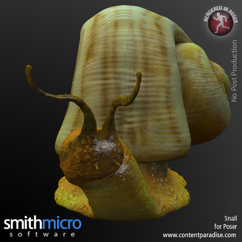 Snail by N/A