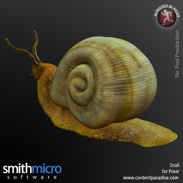 Snail by N/A