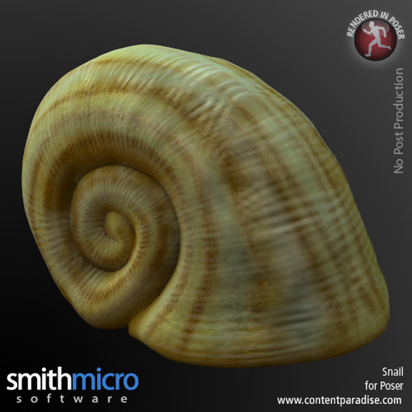 Snail by N/A