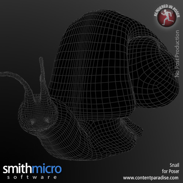 Snail by N/A