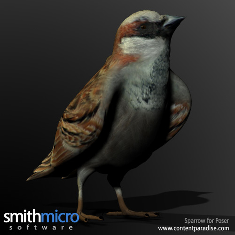 Sparrow by N/A