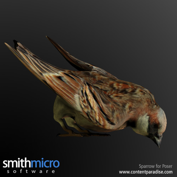 Sparrow by N/A