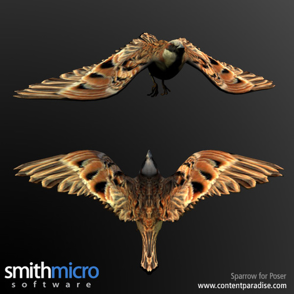 Sparrow by N/A