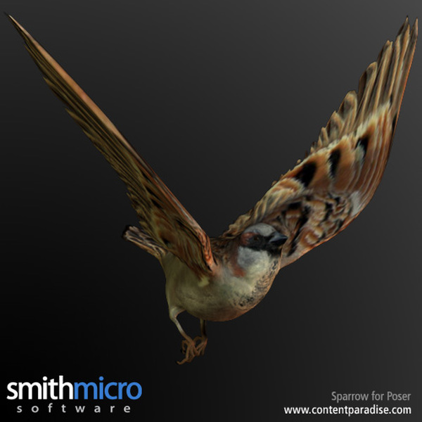 Sparrow by N/A