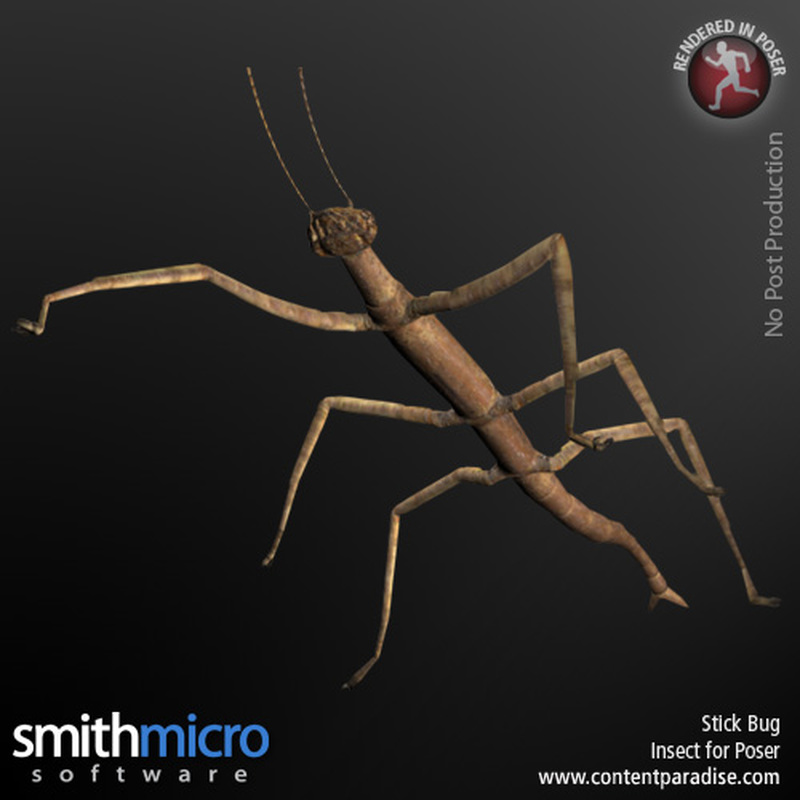 Stick Bug by N/A