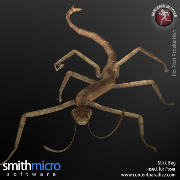 Stick Bug by N/A