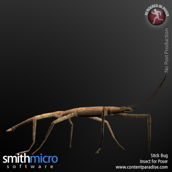 Stick Bug by N/A