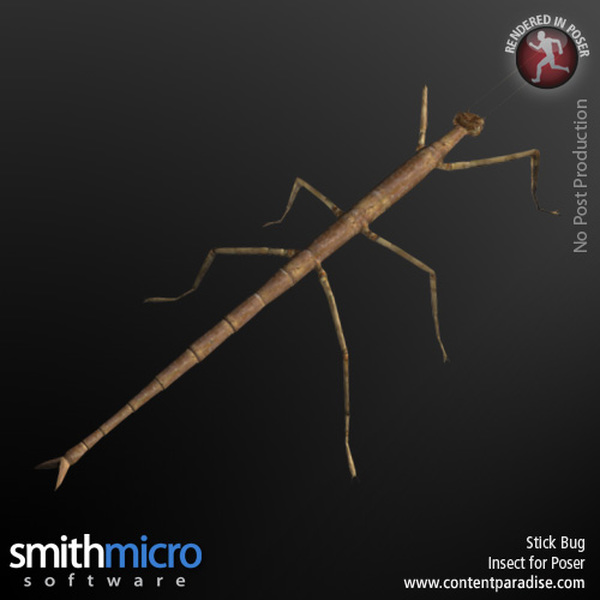 Stick Bug by N/A