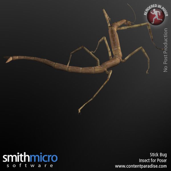 Stick Bug by N/A
