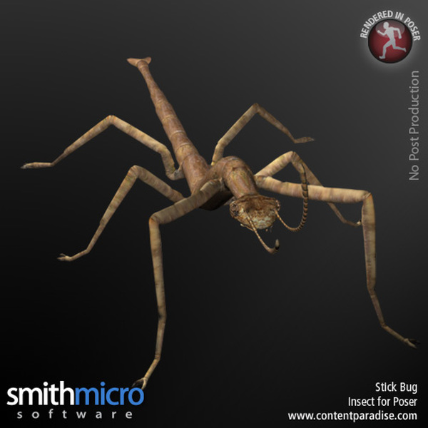 Stick Bug by N/A