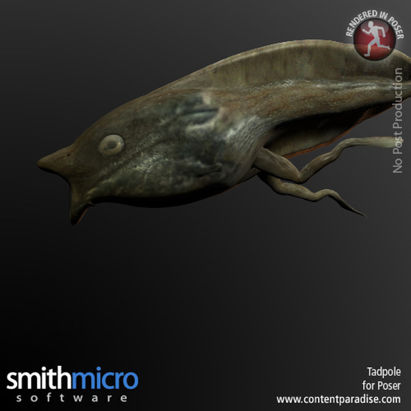Tadpole by N/A