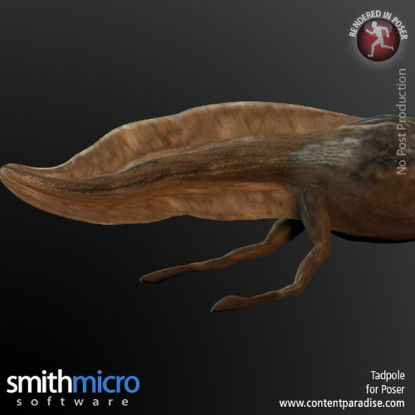 Tadpole by N/A