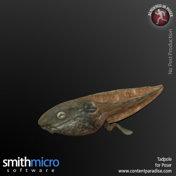 Tadpole by N/A