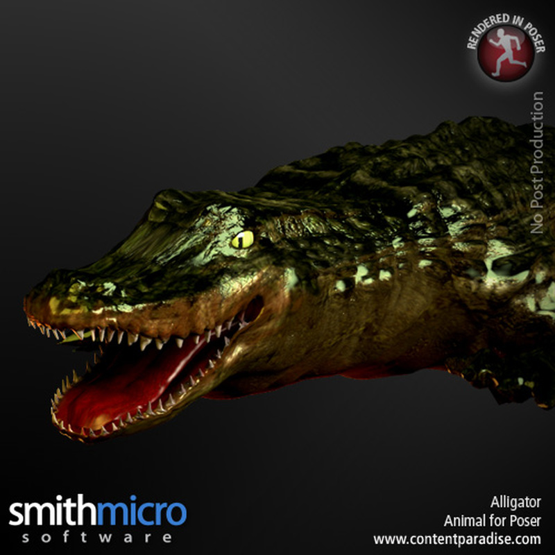 Alligator by N/A