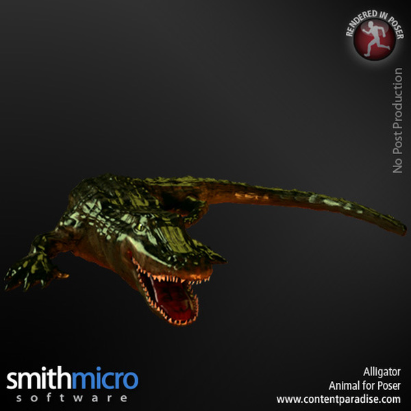 Alligator by N/A