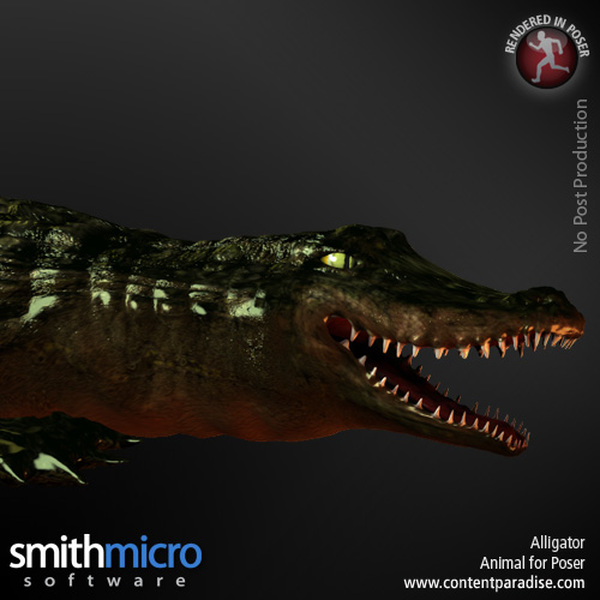 Alligator by N/A