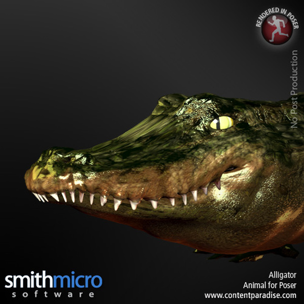 Alligator by N/A