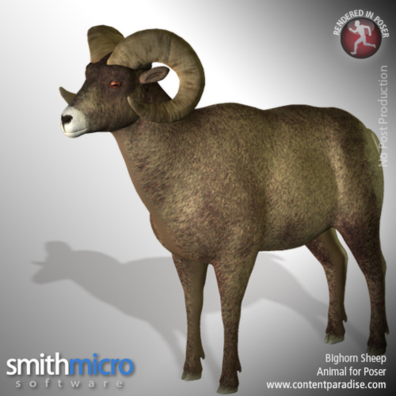 American Bighorn Sheep (Wildlife Series) by N/A