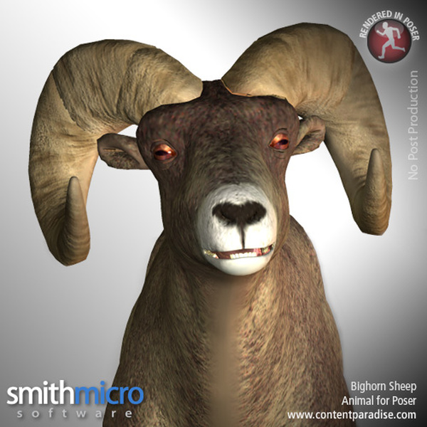 American Bighorn Sheep (Wildlife Series) by N/A