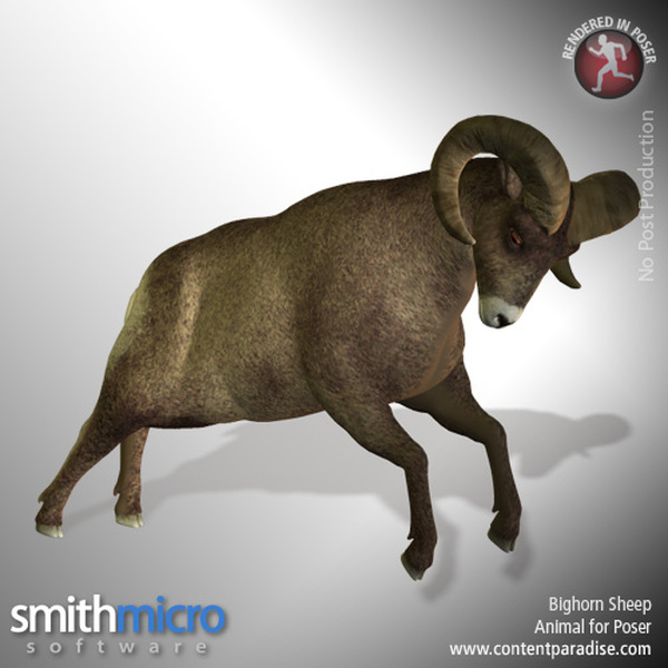 American Bighorn Sheep (Wildlife Series) by N/A