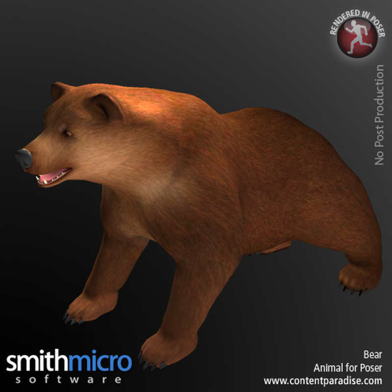 Brown Bear (Wildlife Series) by N/A