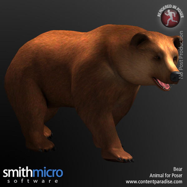 Brown Bear (Wildlife Series) by N/A