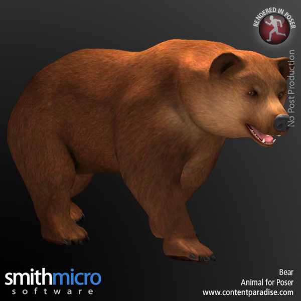 Brown Bear (Wildlife Series) by N/A