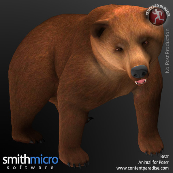 Brown Bear (Wildlife Series) by N/A