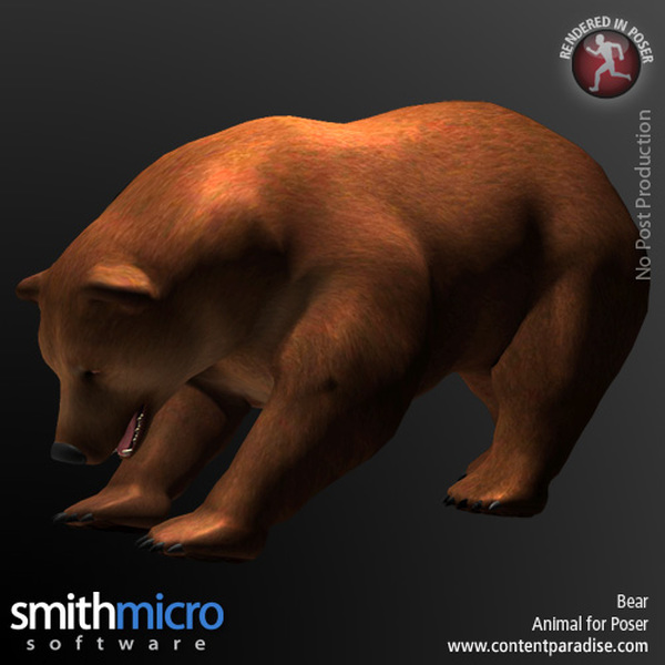 Brown Bear (Wildlife Series) by N/A