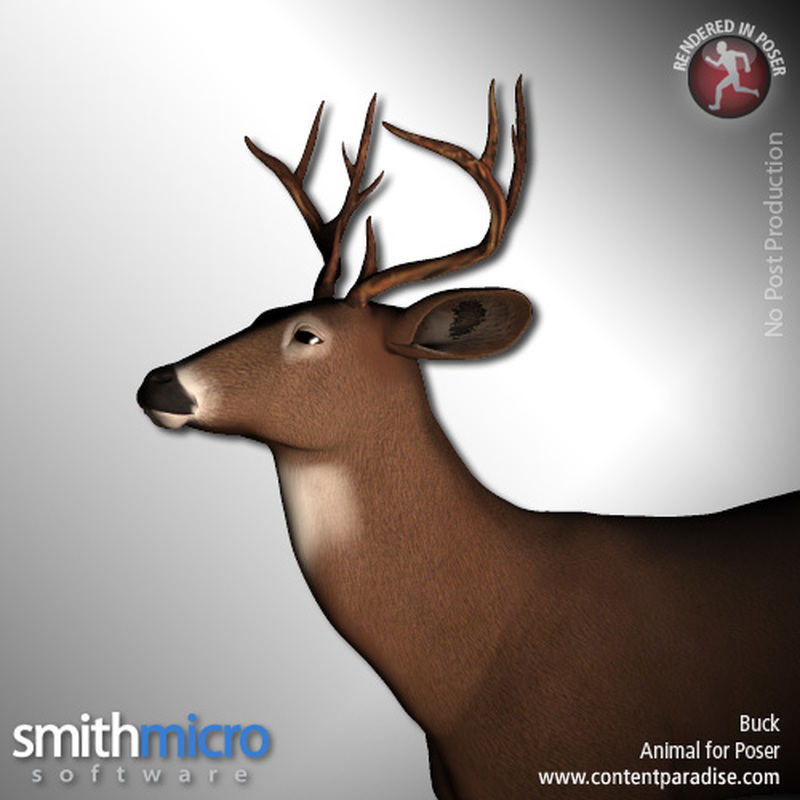Buck (Wildlife Series) by N/A
