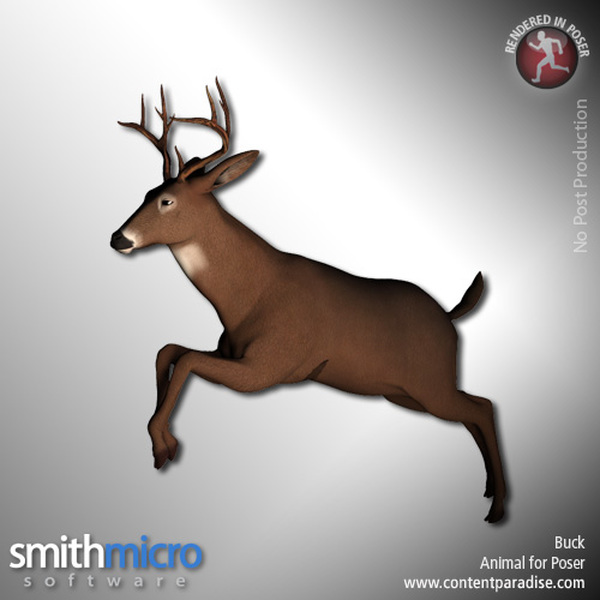 Buck (Wildlife Series) by N/A