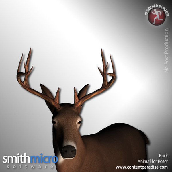 Buck (Wildlife Series) by N/A