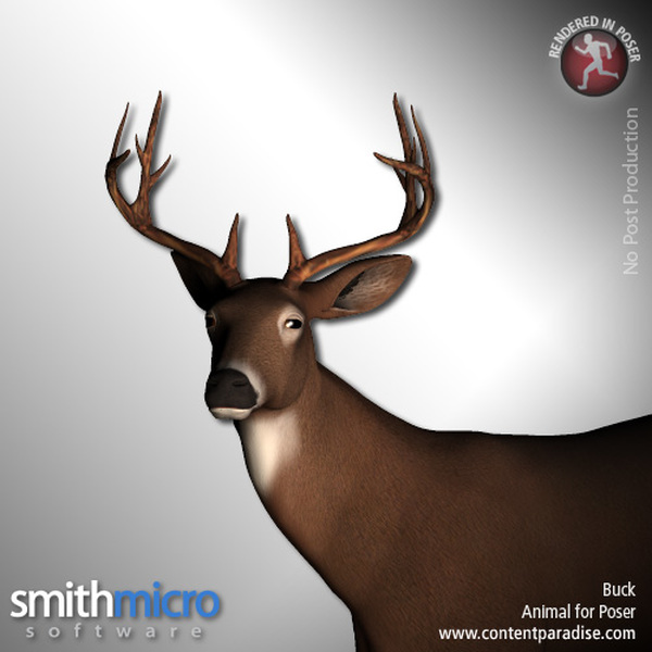 Buck (Wildlife Series) by N/A