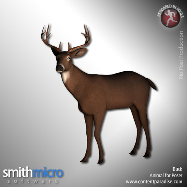 Buck (Wildlife Series) by N/A