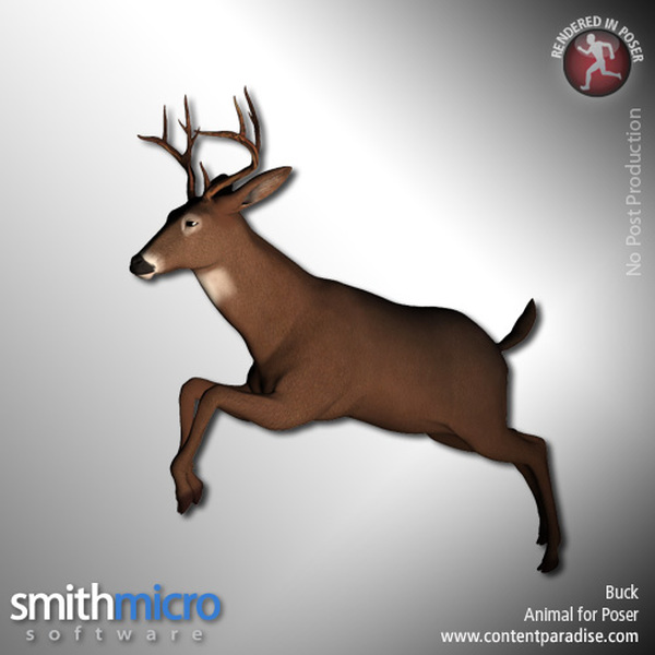 Buck (Wildlife Series) by N/A