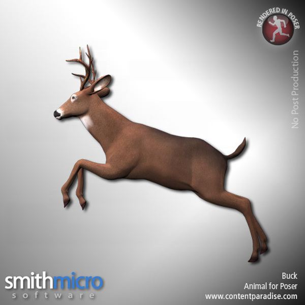 Buck (Wildlife Series) by N/A