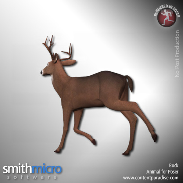 Buck (Wildlife Series) by N/A