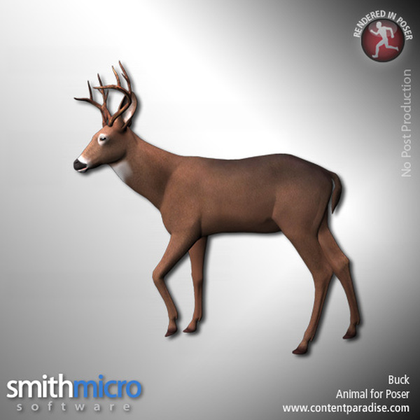 Buck (Wildlife Series) by N/A