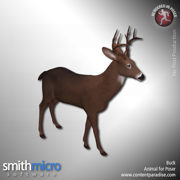 Buck (Wildlife Series) by N/A