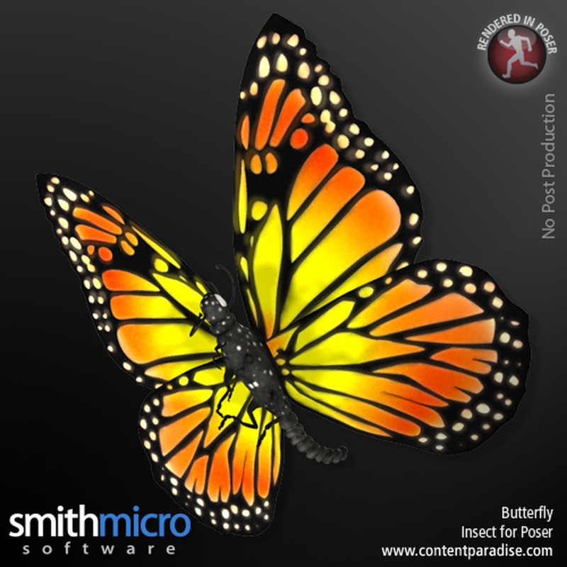 Butterfly by N/A