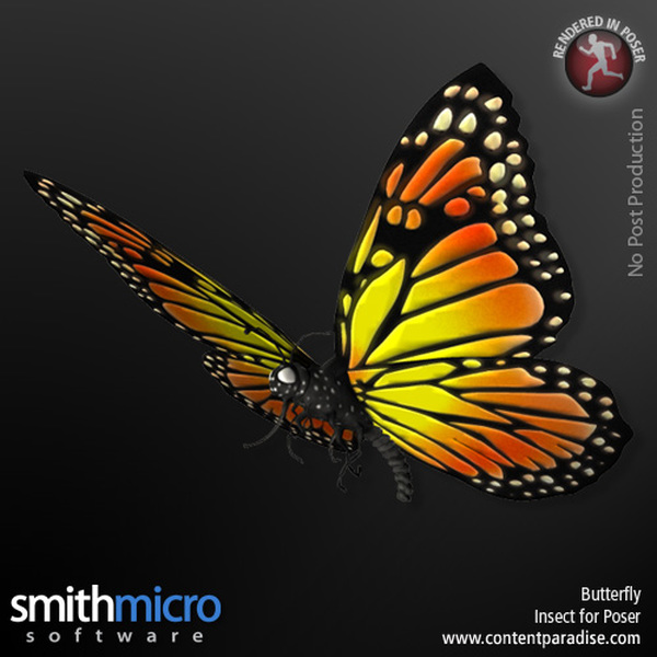Butterfly by N/A